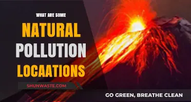 Natural Pollution: Nature's Toxic Secrets