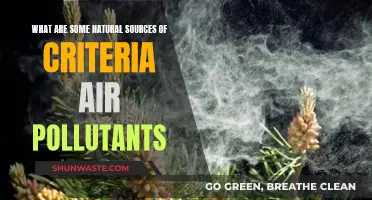 Natural Sources of Criteria Air Pollutants: A Comprehensive Guide