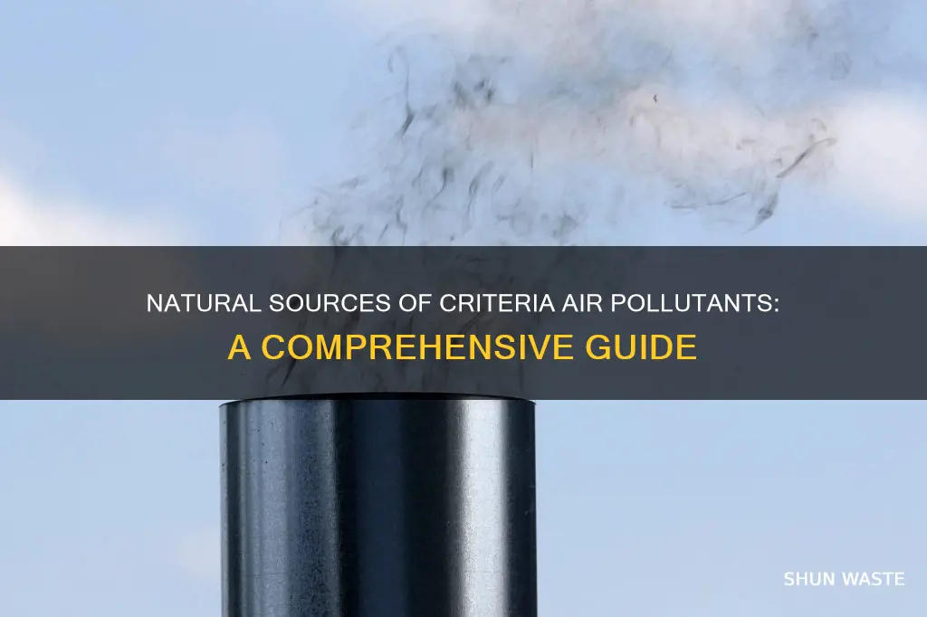 what are some natural sources of criteria air pollutants