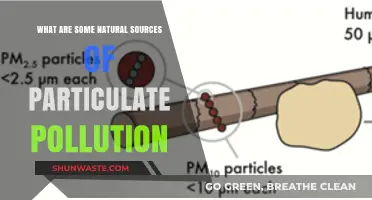 Natural Particulate Pollution: Surprising Sources and Solutions