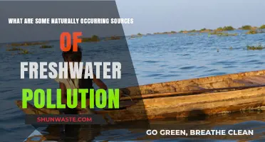 Freshwater Pollution: Nature's Unseen Threats