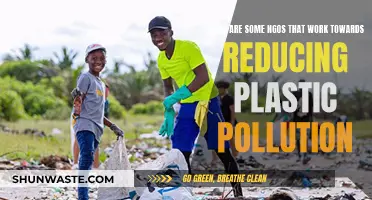 NGOs Leading the Fight Against Plastic Pollution