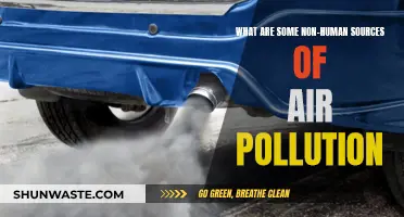 Unseen Air Polluters: Non-Human Sources of Contamination