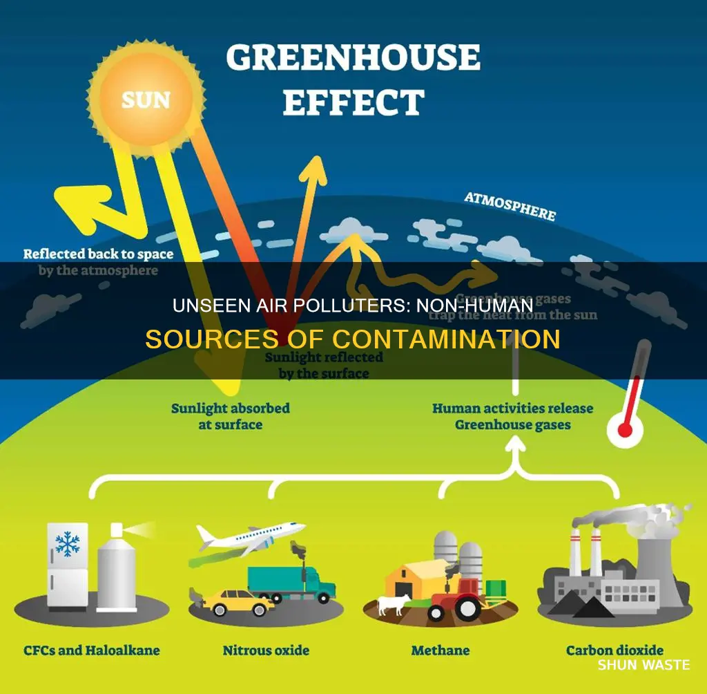 what are some non-human sources of air pollution