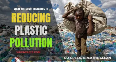 Challenges in Plastic Reduction: Overcoming Inertia and Ignorance