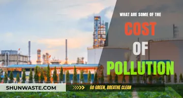 Pollution's Price: The True Cost of Environmental Damage