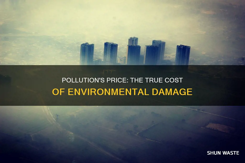 what are some of the cost of pollution
