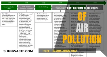 Air Pollution's Cost: Our Health and Environment at Risk