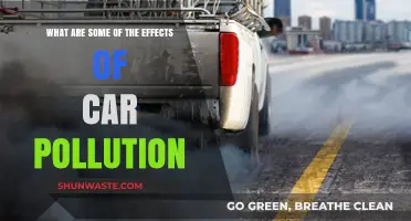 Car Pollution: Its Harmful Effects and Our Health