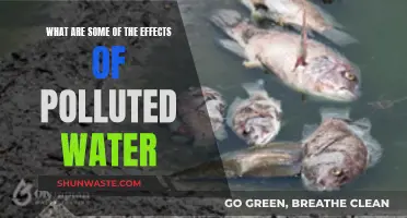 The Devastating Impact: Unveiling Water Pollution's Dark Secrets