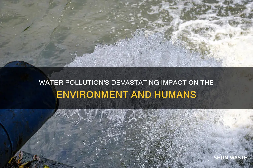 what are some of the effects of polluted water
