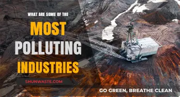 Industries Polluting Our Planet: The Worst Offenders