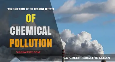 Chemical Pollution: Understanding its Harmful Effects