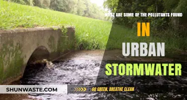 Urban Stormwater: A Toxic Mix of Pollutants