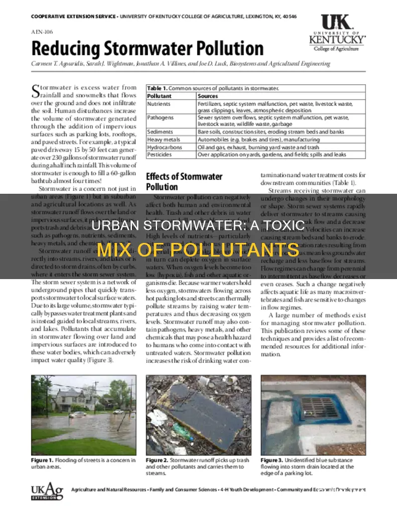 what are some of the pollutants found in urban stormwater