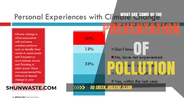 Preventing Pollution: Simple Steps for a Better Tomorrow