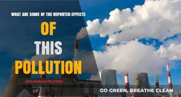 The Devastating Impact of Pollution on Our Planet