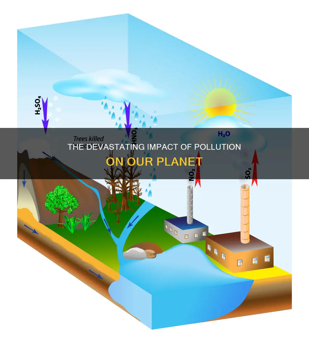 what are some of the reported effects of this pollution