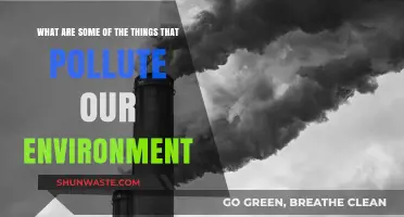 Environmental Hazards: Polluting Our World