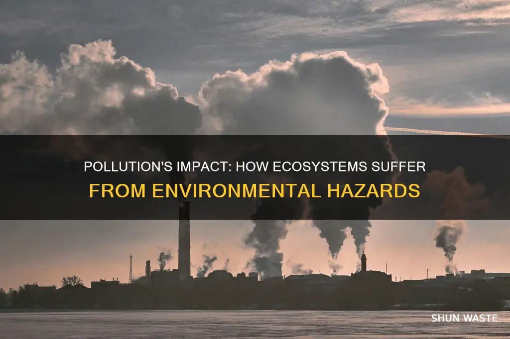 what are some of the ways pollutants can impact ecosystems