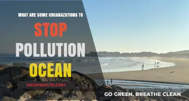 Ocean Warriors: Organizations Fighting Marine Pollution