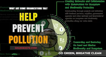 Eco-Warriors: Organizations Fighting Pollution
