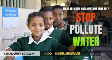 Protecting Our Planet: Top Organizations Leading the Fight Against Water Pollution