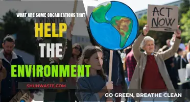 Top Eco-Friendly Organizations Making a Global Environmental Impact Today