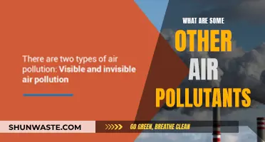 Air Pollutants: What Else is Harming Our Air?