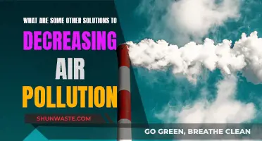 Exploring Alternative Solutions to Reduce Air Pollution