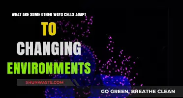 Cellular Survival Strategies: How Cells Adapt to Environmental Changes