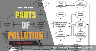 Understanding Pollution: Its Many Parts and Our Impact