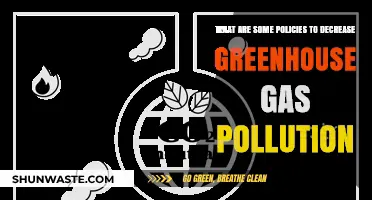 Greenhouse Gas Reduction: Policy Options for a Cleaner Future