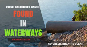 Waterway Pollutants: Common Toxins and Their Sources