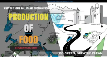 Food Production's Environmental Impact: Pollutants and Their Effects