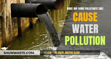 Unveiling the Hidden Water Pollutants: A Comprehensive Guide