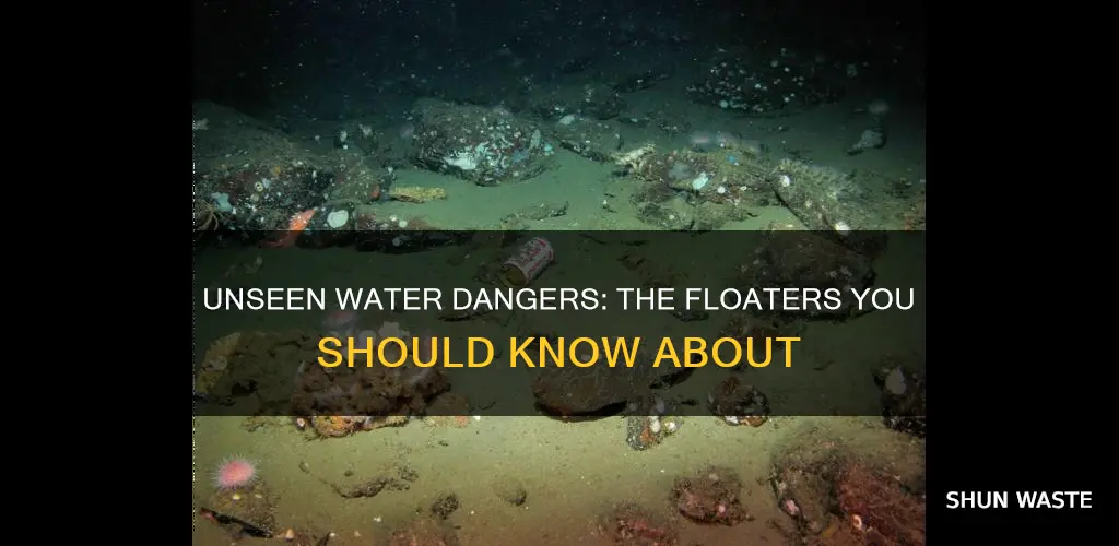 what are some pollutants that float on water