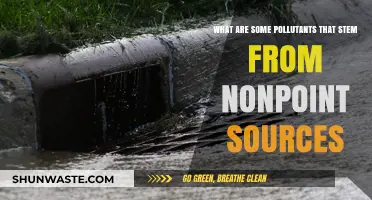 Nonpoint Sources: Understanding Common Pollutants