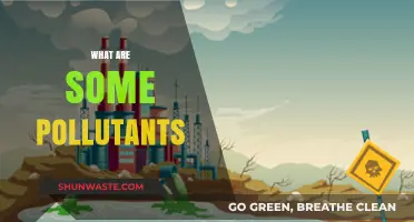 Air, Water, and Soil: Understanding Pollutants