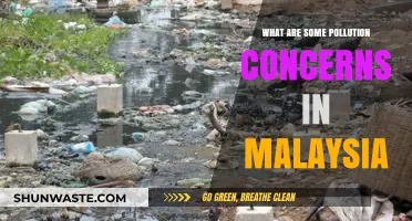 Malaysia's Pollution Concerns: A Growing Environmental Crisis