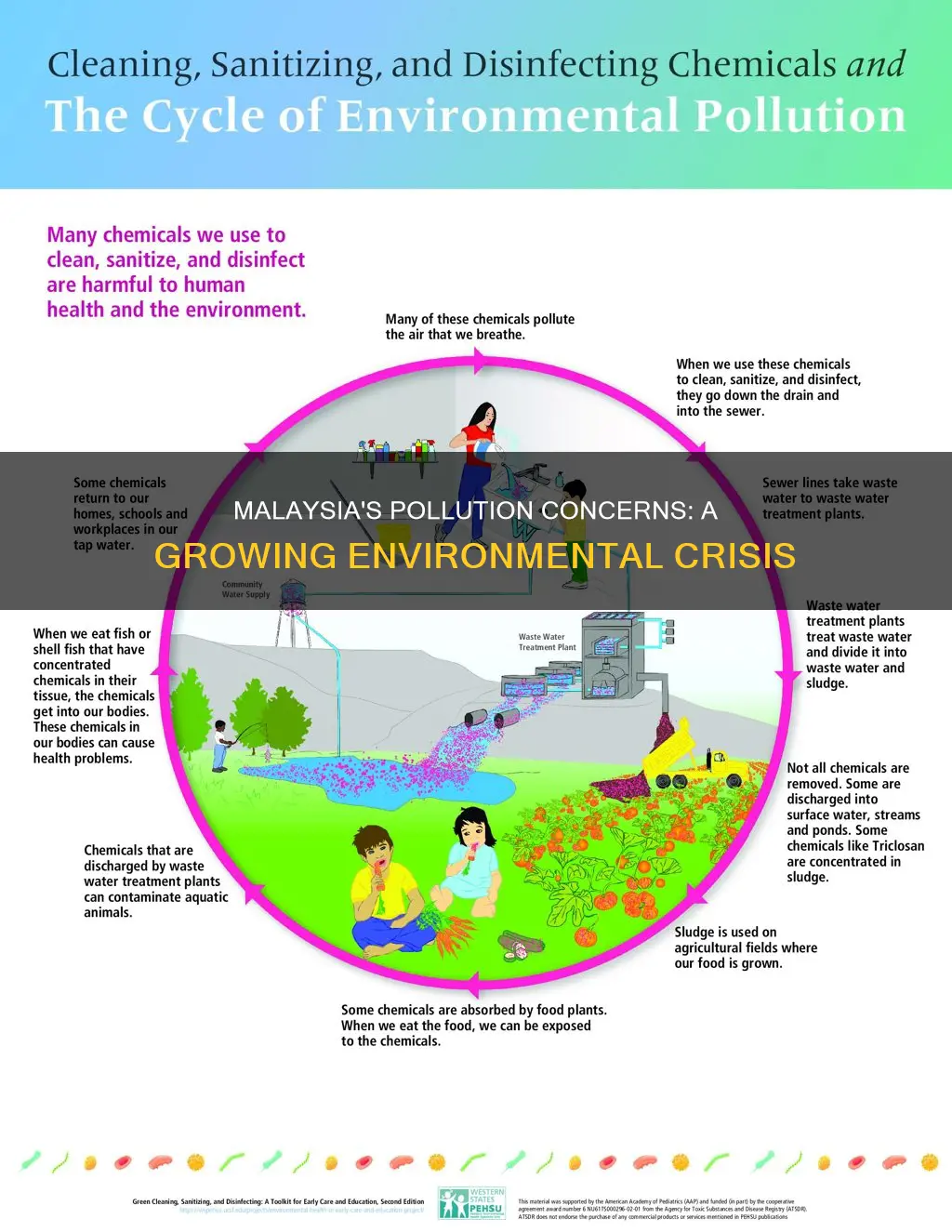 what are some pollution concerns in malaysia