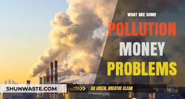 Pollution Problems: The Cost of Inaction