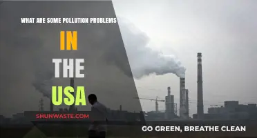 US Pollution Problems: A Troubling Reality