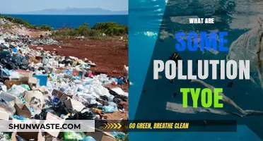 Understanding Pollution: Types and Their Impact