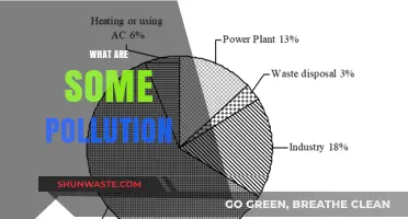Pollution Types: Understanding the Many Faces of Environmental Harm