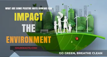 Sustainable Actions: How Humans Can Positively Transform Our Environment