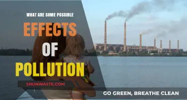Pollution's Impact: Understanding the Devastating Effects