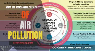 Air Pollution's Health Impact: What You Need to Know