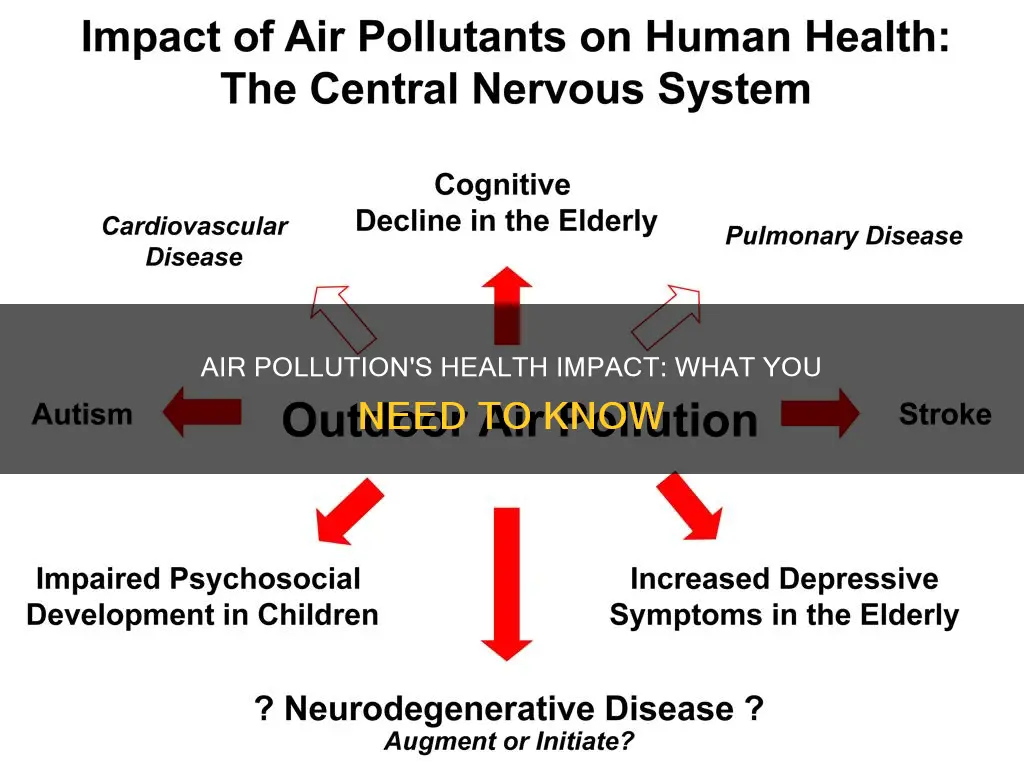 what are some possible health effects of air pollution