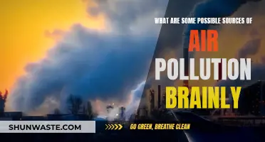 Understanding Air Pollution: Identifying the Main Sources